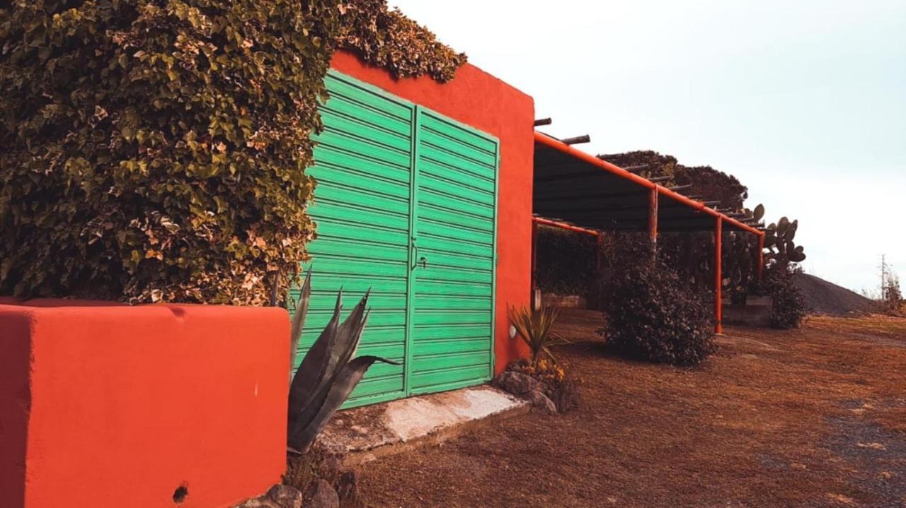 Tenuta Di Pontesodo 蒙塔尔托迪卡斯特罗 外观 照片