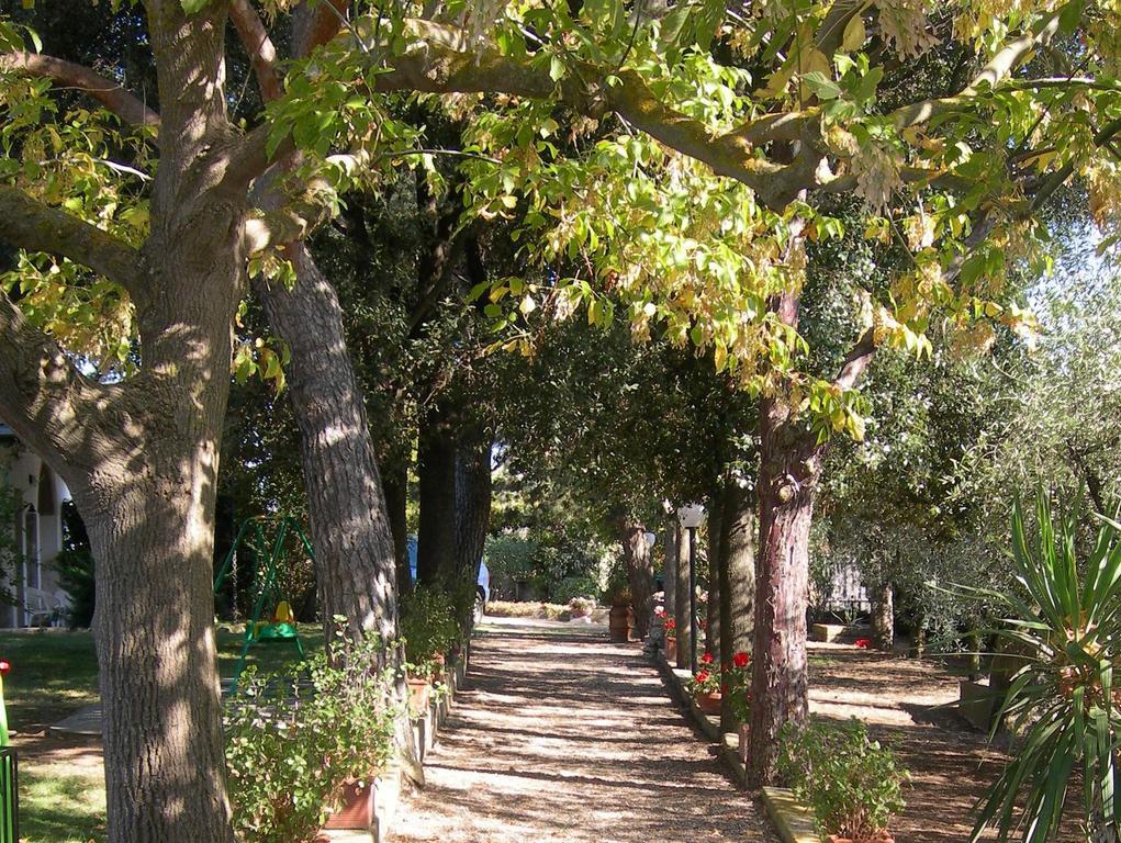 Tenuta Di Pontesodo 蒙塔尔托迪卡斯特罗 外观 照片