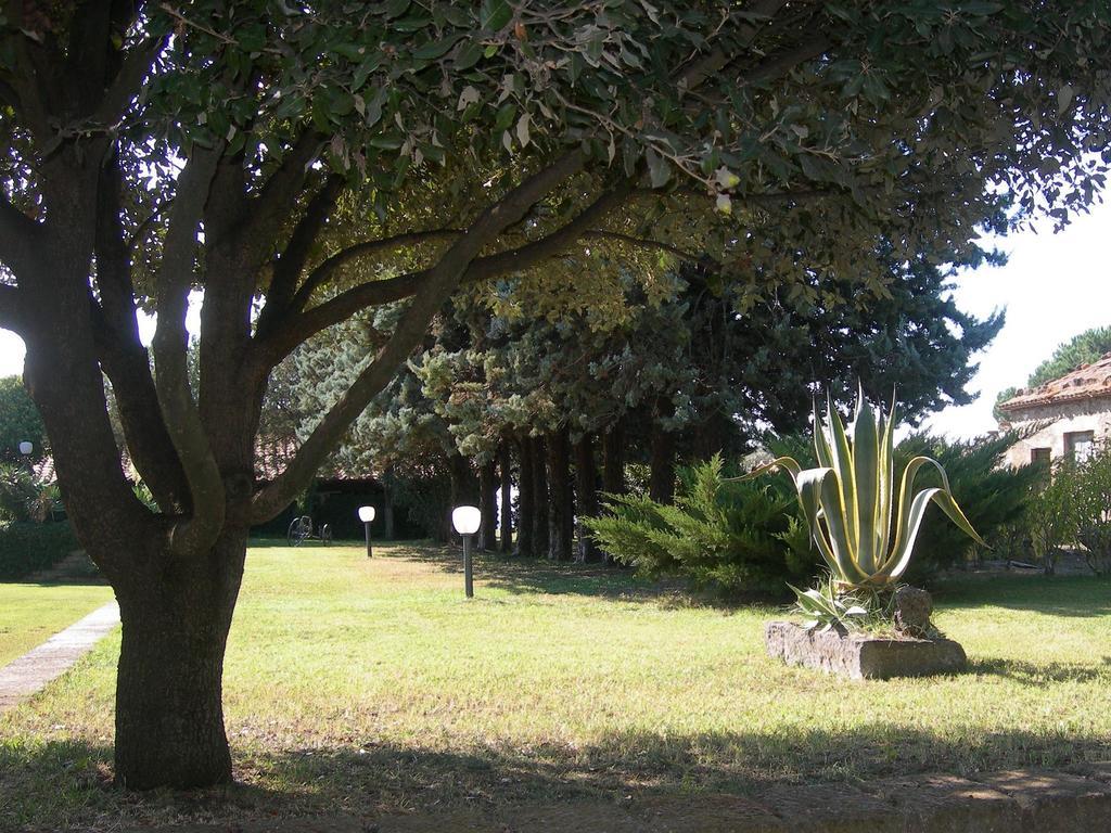 Tenuta Di Pontesodo 蒙塔尔托迪卡斯特罗 外观 照片
