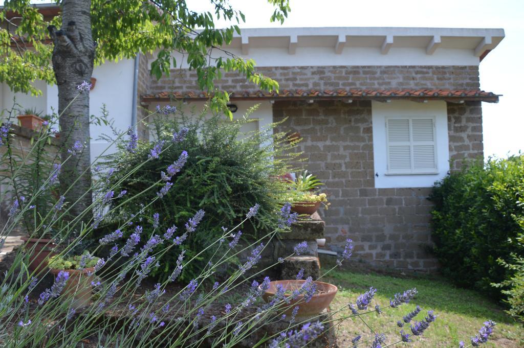 Tenuta Di Pontesodo 蒙塔尔托迪卡斯特罗 外观 照片
