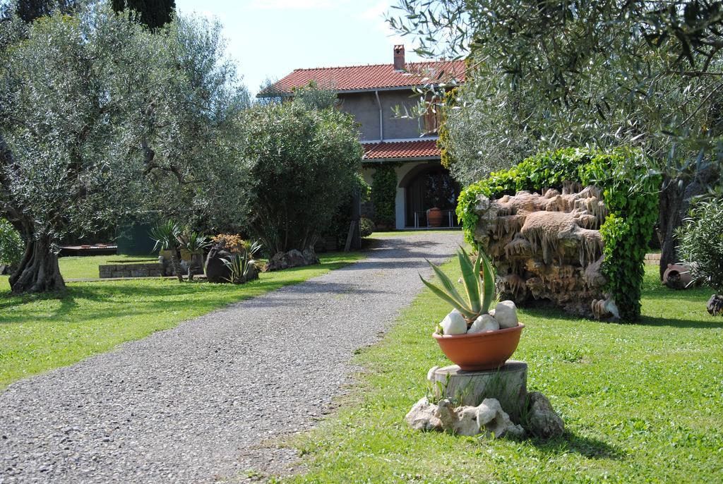 Tenuta Di Pontesodo 蒙塔尔托迪卡斯特罗 外观 照片
